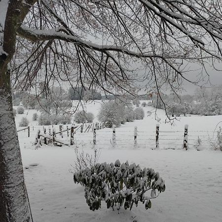 Abri De Jardin Villa Vielsalm Eksteriør billede