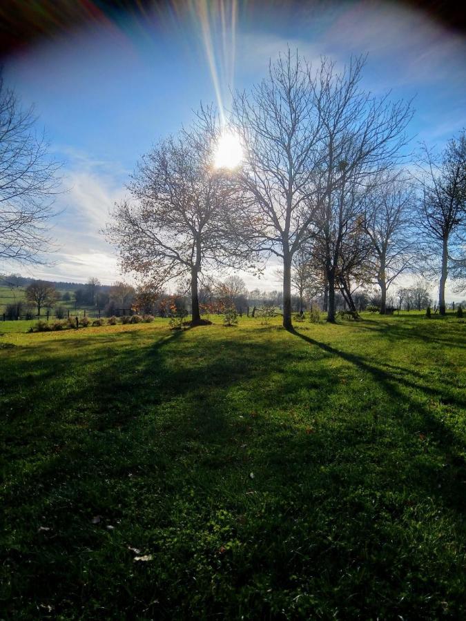 Abri De Jardin Villa Vielsalm Eksteriør billede