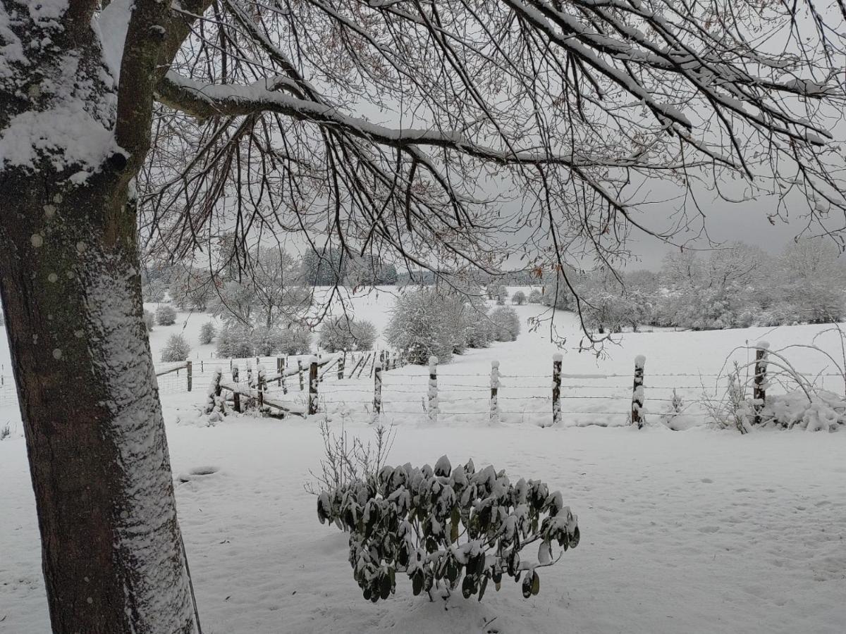 Abri De Jardin Villa Vielsalm Eksteriør billede